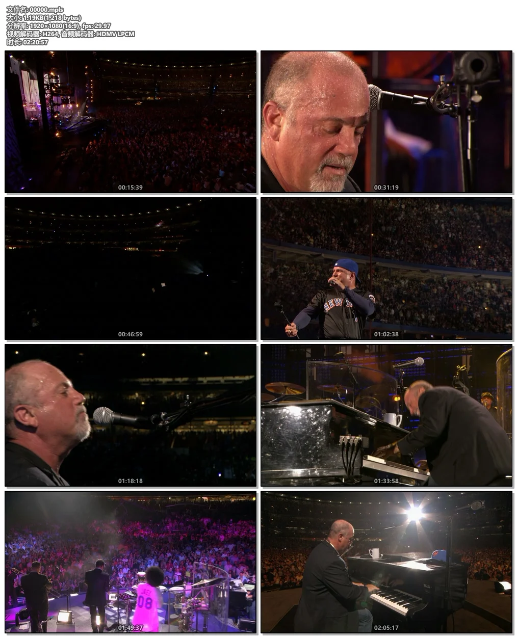 图片[6]-比利·乔 纽约谢伊体育场告别演唱会 Billy Joel – Live At Shea Stadium 2008《BDISO 42.6G》-蓝光演唱会资源网