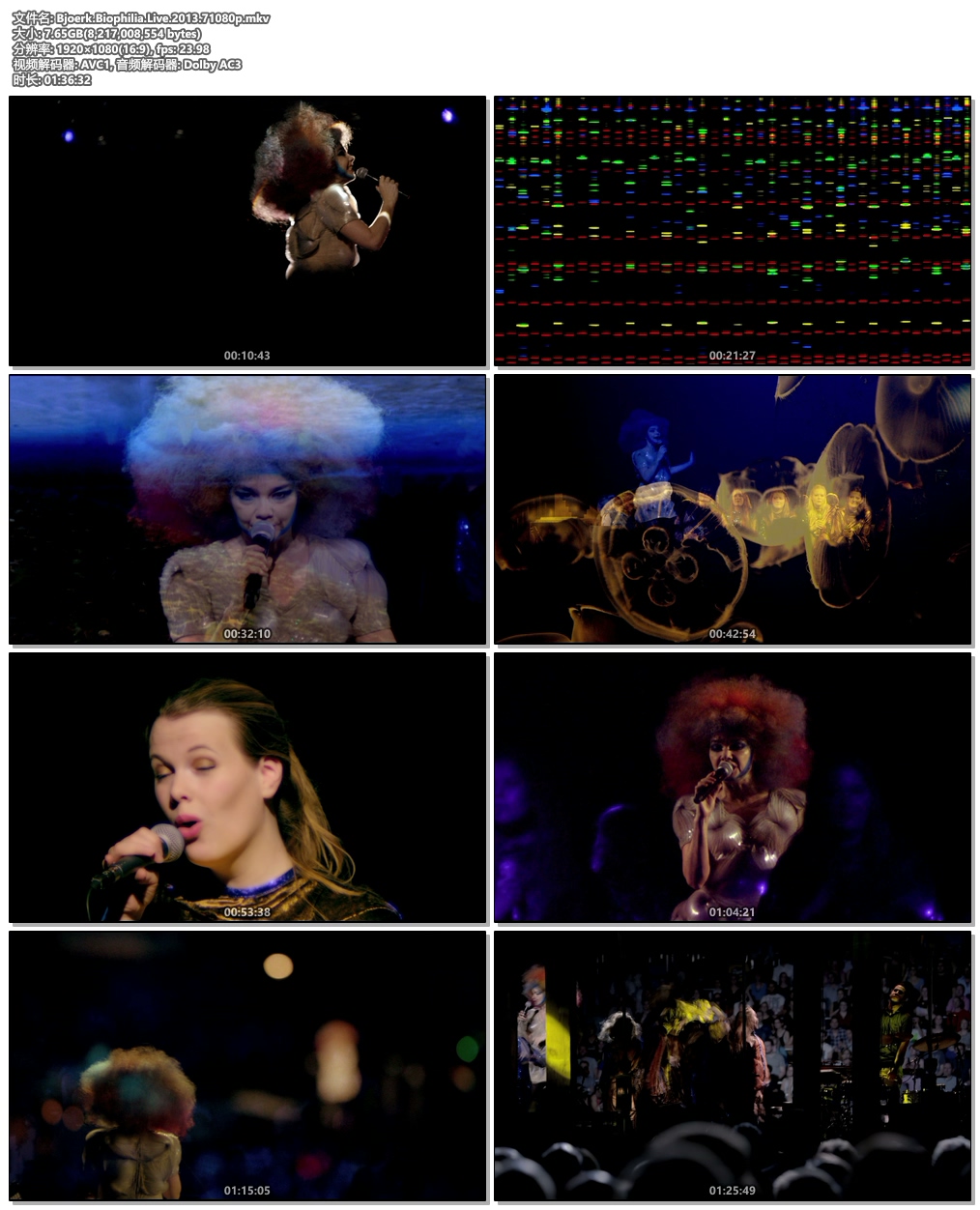 图片[4]-Bjoerk Biophilia Live 2013《BDrip MKV 7.65G》-蓝光演唱会资源网