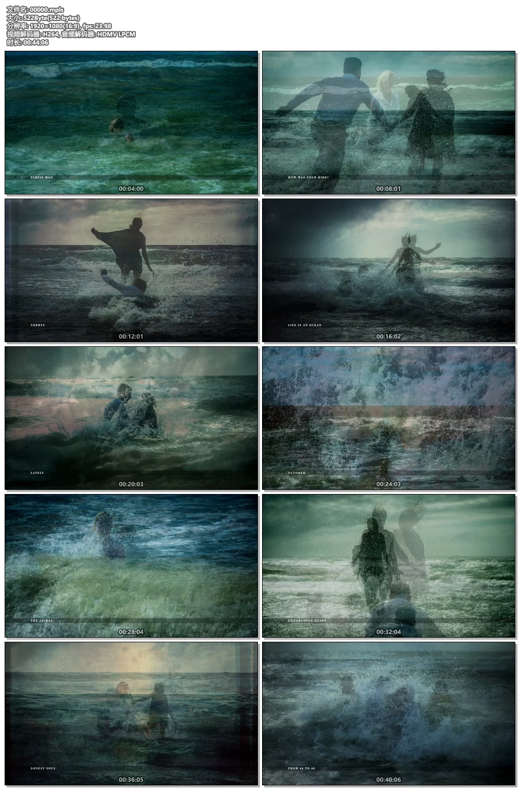 图片[2]-Blackfield : Blackfield V 2017 Blu-ray Audio 1080p AVC DTS-HD MA 5.1《BDMV 13.9G》-蓝光演唱会资源网