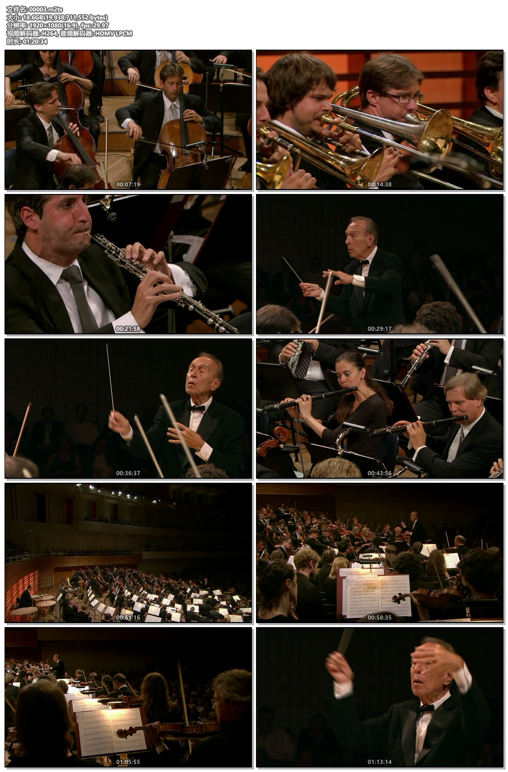 图片[4]-阿巴多 布鲁克纳 第五交响曲Bruckner: Symphony no.5 – Abbado 2012《M2TS 21.1G》-蓝光演唱会资源网