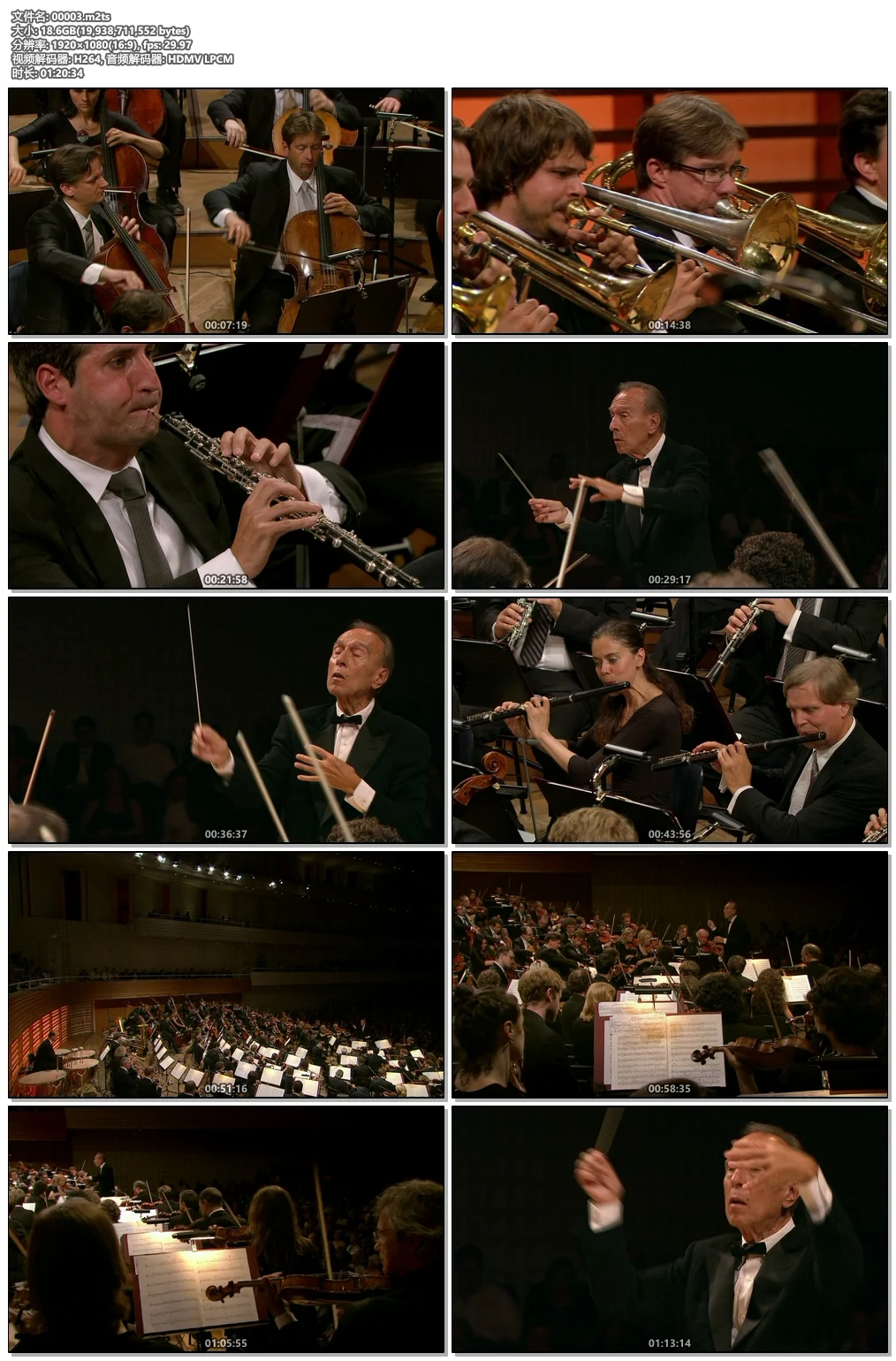 图片[4]-阿巴多 布鲁克纳 第五交响曲Bruckner: Symphony no.5 – Abbado 2012《M2TS 21.1G》-蓝光演唱会资源网