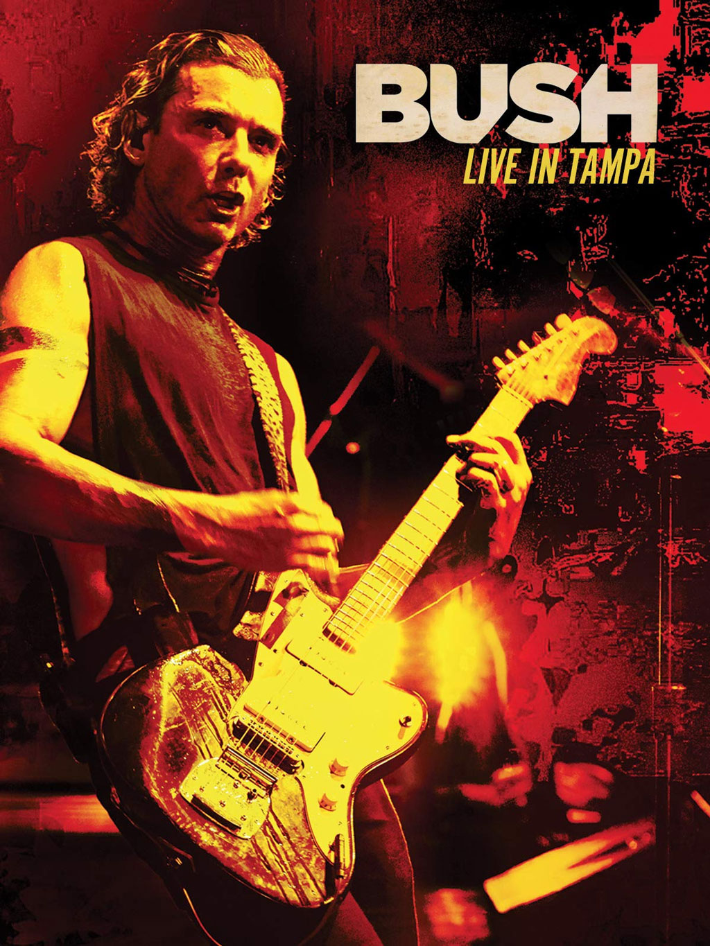 图片[6]-Bush – Live In Tampa 2020《BDMV 23.1M》-蓝光演唱会资源网
