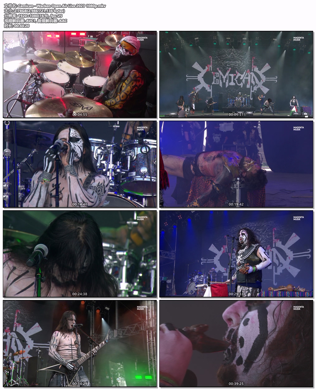 图片[4]-Cemican – Wacken Open Air Live 2023 HD 1080P [WEB-DL MKV 2.78GB]-蓝光演唱会资源网