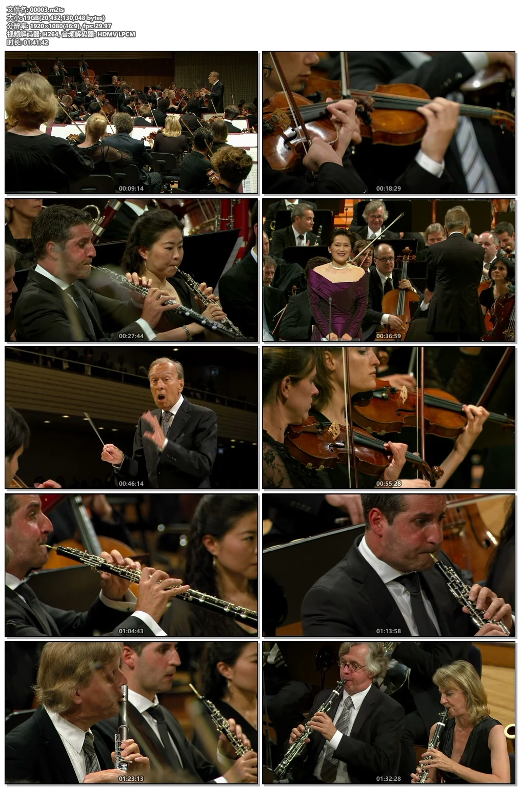 图片[4]-阿巴多 2013年卢塞恩音乐节开幕式 Claudio Abbado Conducts Brahms, Schoenberg Beethoven: Works for Orchestra 2013《M2TS 21.6G》-蓝光演唱会资源网