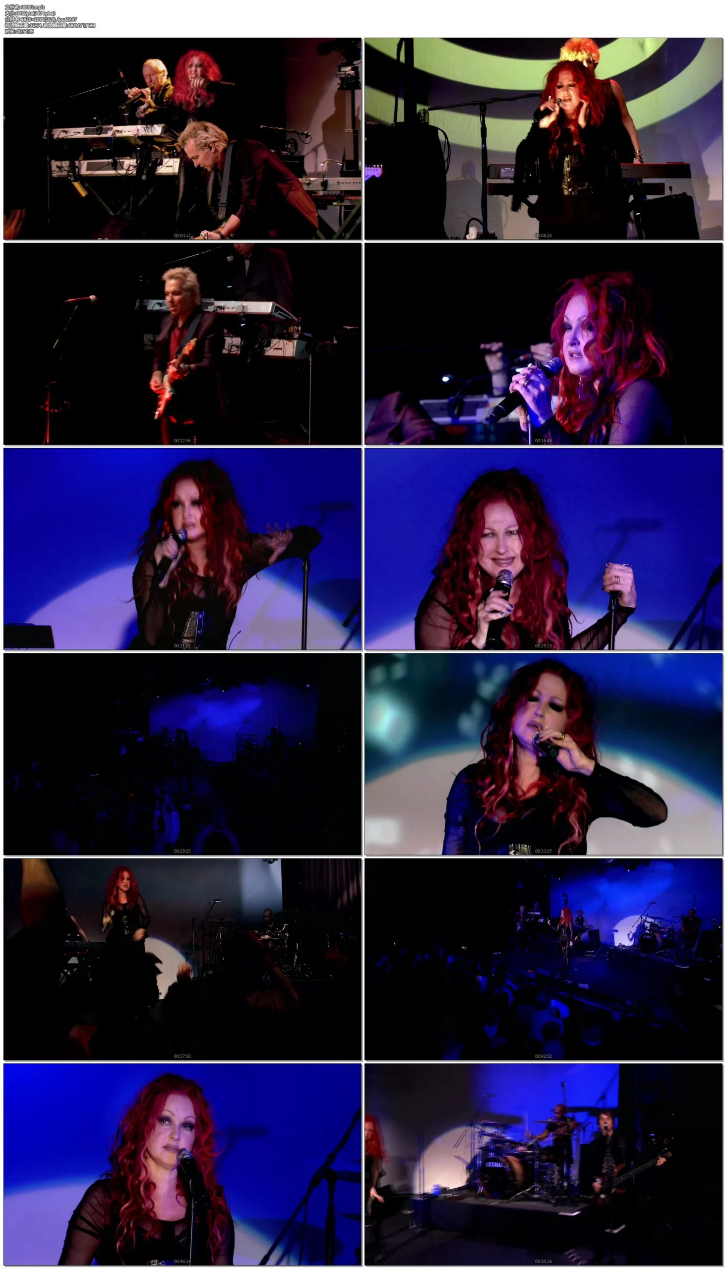 图片[4]-辛迪·劳帕演唱会 Cyndi Lauper: Front & Center Presents 2014《ISO 15.11GB》-蓝光演唱会资源网