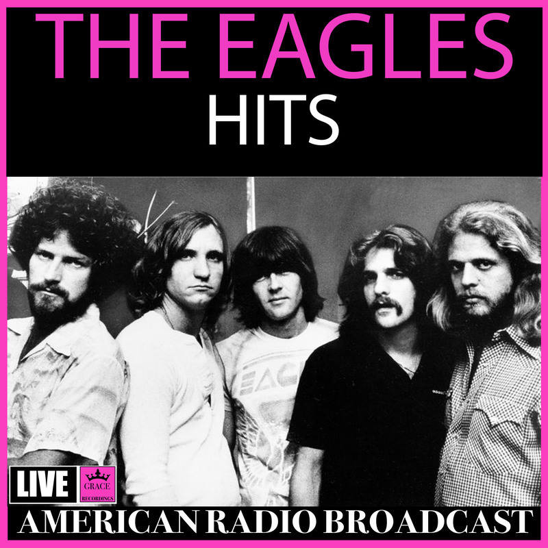 Eagles 老鹰乐队 1976 Live In Houston [Bootleg DVD] VHS转录（双版本 3.42G+4.16G）-蓝光演唱会资源网