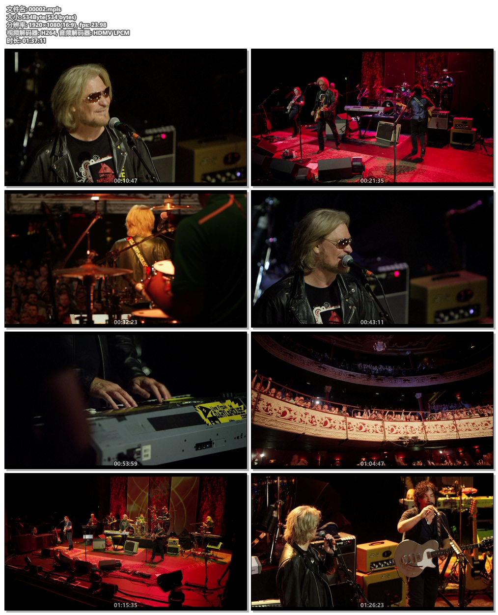 图片[6]-Daryl Hall & John Oates.Live In Dublin 2015《BDMV 29.8G》-蓝光演唱会资源网