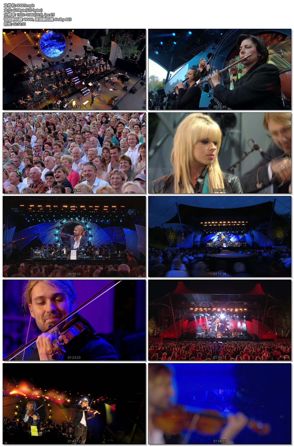 图片[5]-大卫·盖瑞摇滚交响曲 2010音乐会 David Garrett: Rock Symphonies – Open Air Live《ISO 30.44G》-蓝光演唱会资源网