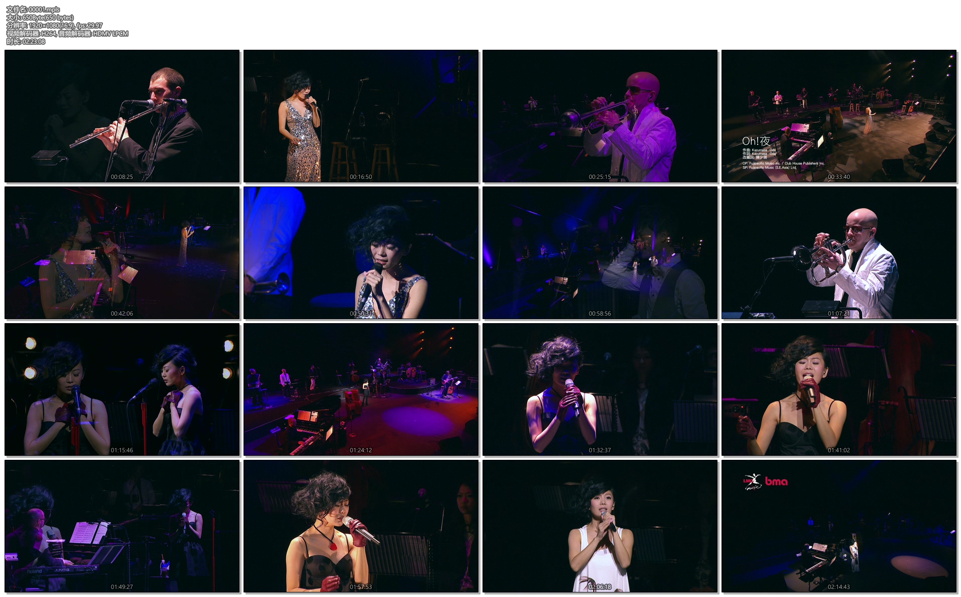 图片[3]-胡琳 Bianca Wu Bianca Live 2011 香港演艺学院演唱会 [BDISO 44.49GB]-蓝光演唱会资源网
