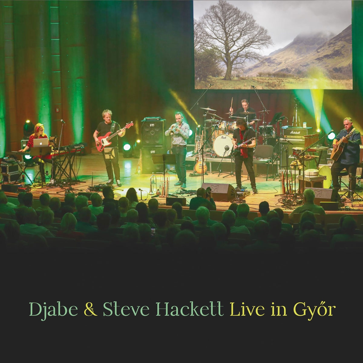 史特夫·哈克特 Djabe & Steve Hackett – Live In Gyor 2023 [BDMV 46GB]-蓝光演唱会资源网