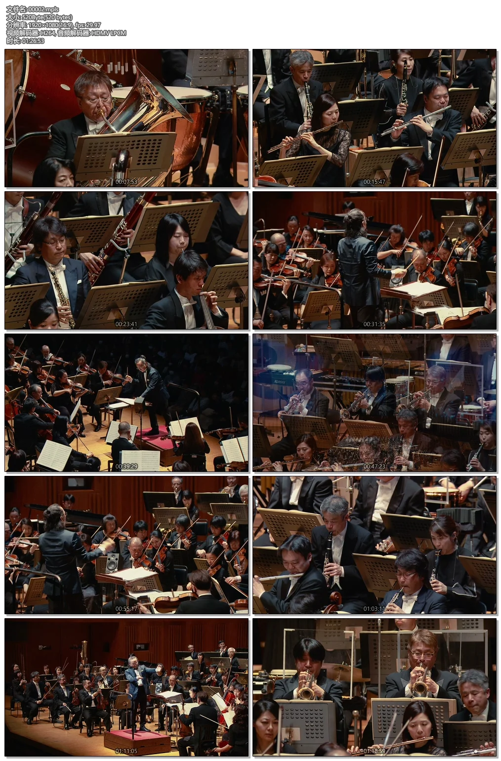 图片[5]-东方红 高清修复版《WEB-DL MKV 13.3GB》-蓝光演唱会资源网