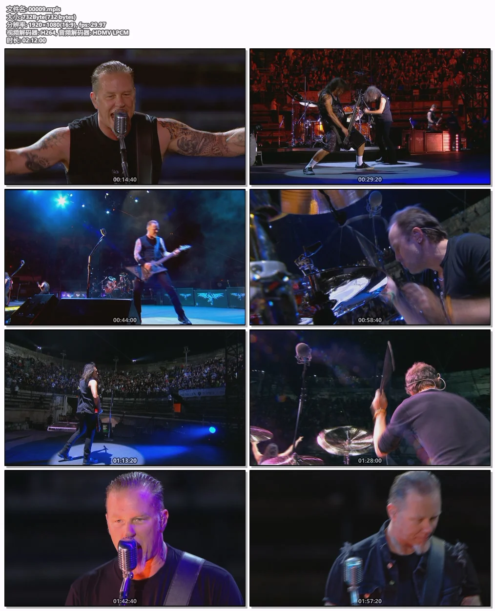 图片[6]-金属乐队 Metallica – Francais Pour Une Nuit 2009 Blu-ray AVC 1080i DTS-HD MA 5.1 [BDMV 17GB]-蓝光演唱会资源网