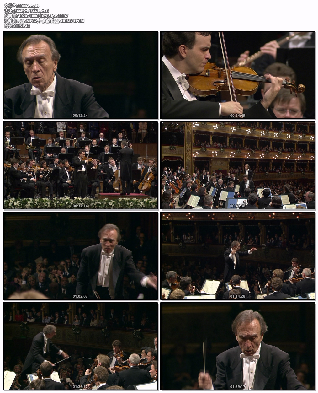 图片[6]-欧洲音乐会 Europakonzert 2002 from Palerm [BDMV 23GB]-蓝光演唱会资源网