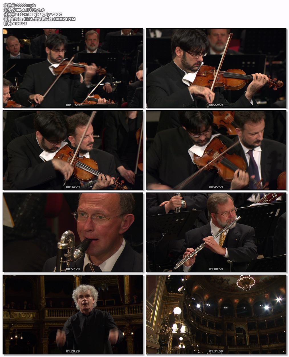 图片[6]-欧洲音乐会 Europakonzert 2005 from Budapest [BDMV 22GB]-蓝光演唱会资源网