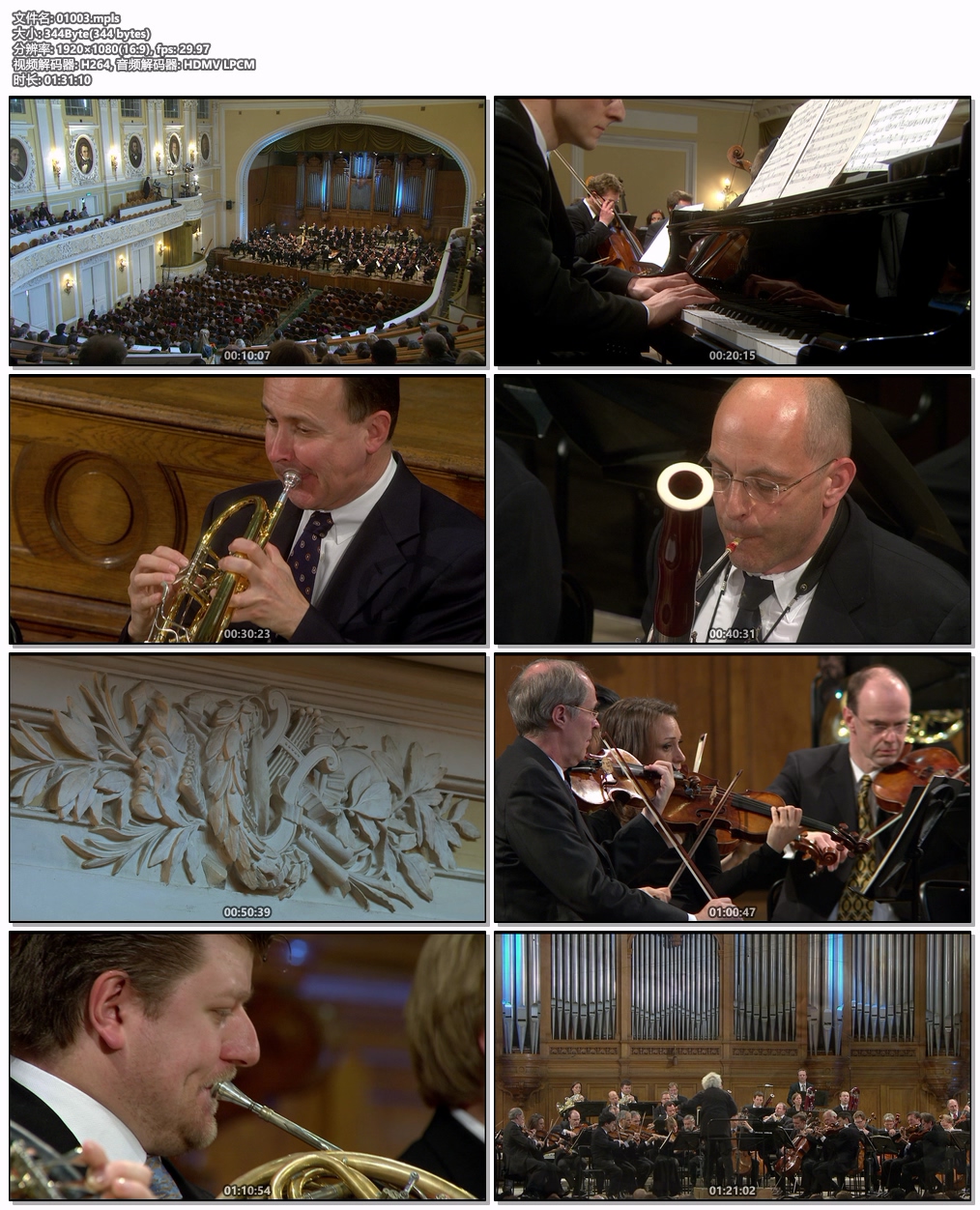 图片[6]-欧洲音乐会 Europakonzert 2008 from Moscow [BDMV 21.9GB]-蓝光演唱会资源网