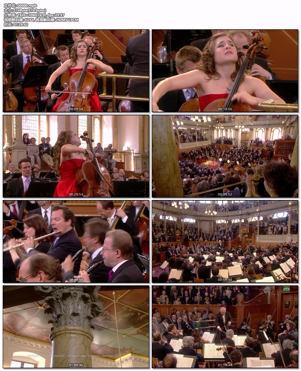 图片[6]-欧洲音乐会 Europakonzert 2010 from Oxford [BDMV 20.8GB]-蓝光演唱会资源网