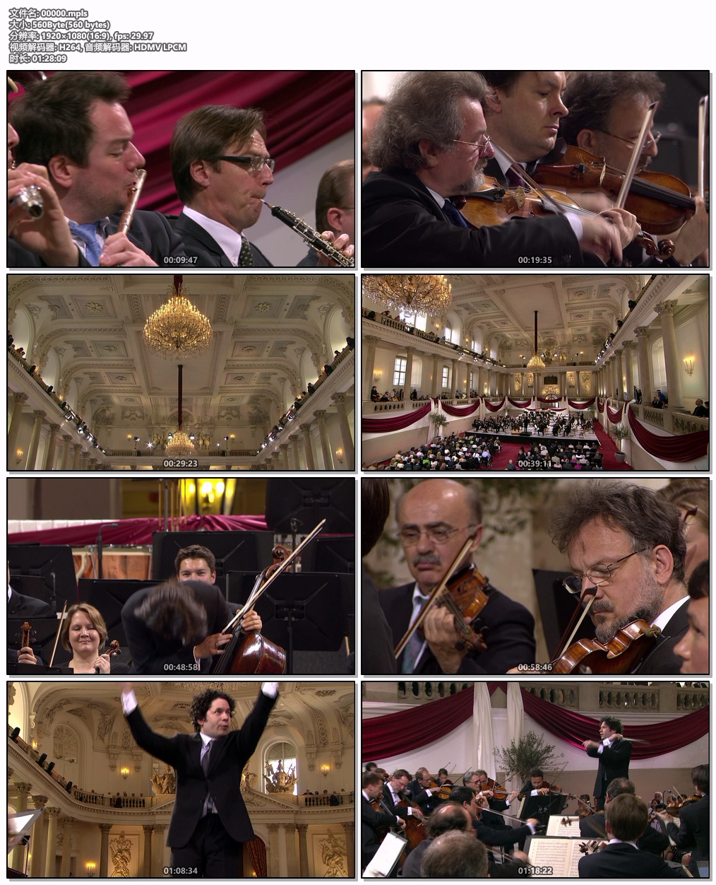 图片[6]-欧洲音乐会 Europakonzert 2012 from Vienna [BDMV 21.8GB]-蓝光演唱会资源网