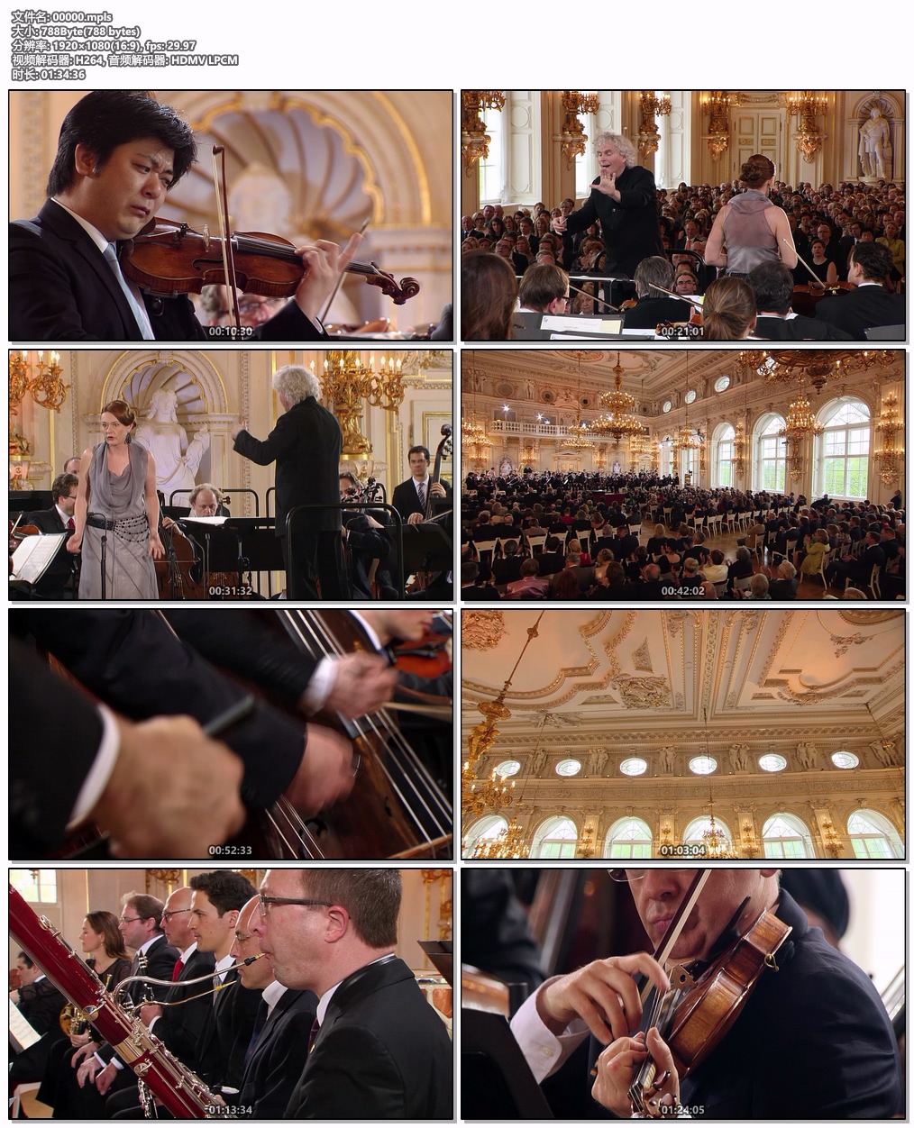 图片[6]-欧洲音乐会 Europakonzert 2013 from Prague [BDMV 20.8GB]-蓝光演唱会资源网