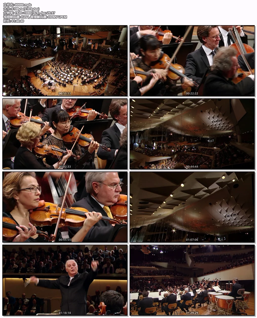 图片[6]-欧洲音乐会 Europakonzert 2014 from Berlin [BDMV 20.8GB]-蓝光演唱会资源网