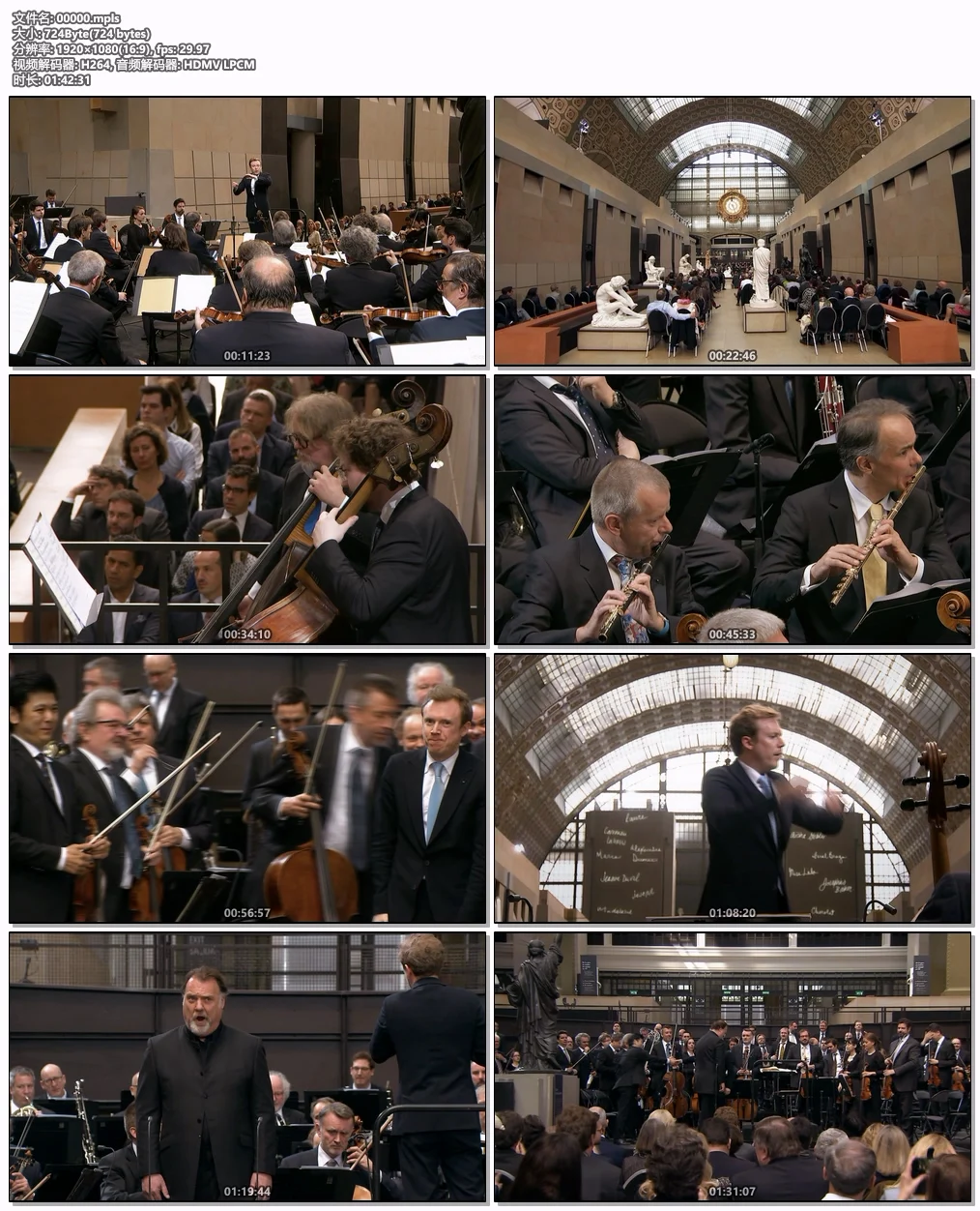 图片[6]-欧洲音乐会 Europakonzert 2019 from Paris [BDMV 39.5GB]-蓝光演唱会资源网