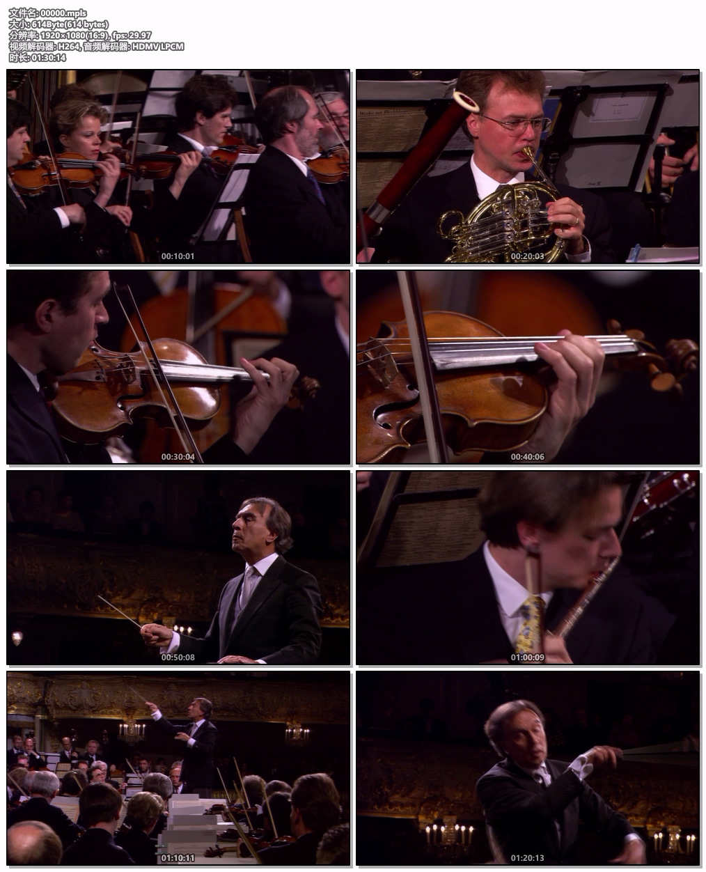 图片[6]-欧洲音乐会 Europakonzert 1996 from St. Petersburg [BDMV 20.7GB]-蓝光演唱会资源网