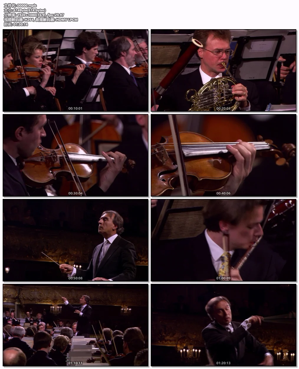 图片[6]-欧洲音乐会 Europakonzert 1996 from St. Petersburg [BDMV 20.7GB]-蓝光演唱会资源网