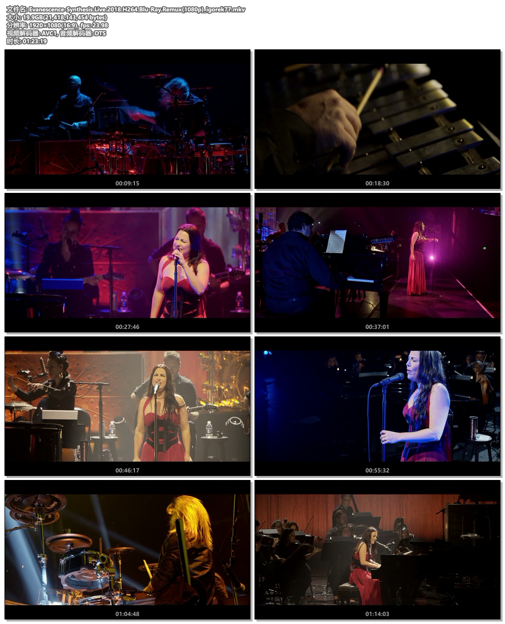 图片[5]-Evanescence – Synthesis Live 2018《Remux MKV 19.9G》-蓝光演唱会资源网