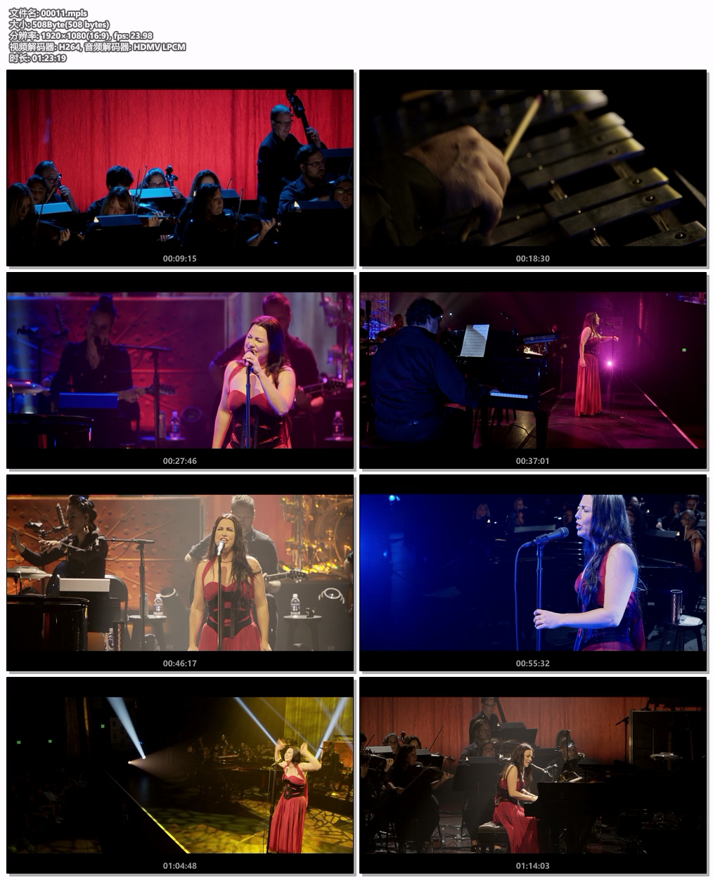 图片[6]-伊凡塞斯 Evanescence – Synthesis Live 2018 [BDISO 23.1GB]-蓝光演唱会资源网
