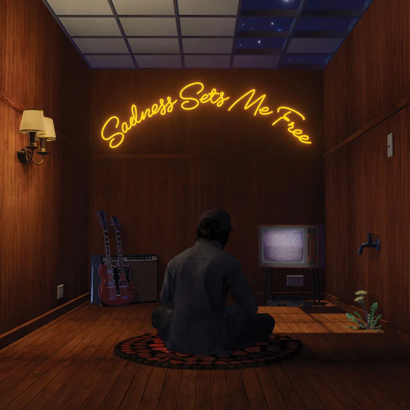 Gruff Rhys – Sadness Sets Me Free 2024 [24Bit/44.1kHz] [Hi-Res Flac 500MB]-蓝光演唱会资源网