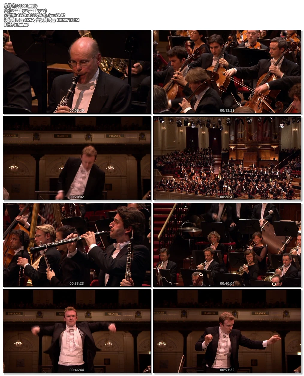图片[3]-Gustav Mahler – Symphonies 1-10, Totenfeier, Das Lied von der Erde – RCO Live 2009-2011《BDMV 11BD 216G》-蓝光演唱会资源网