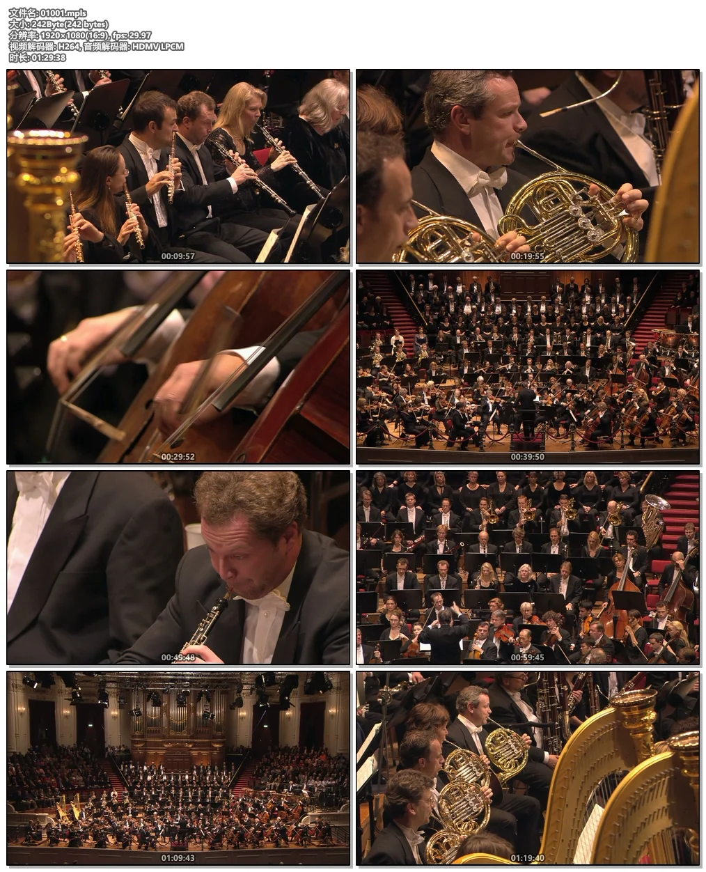 图片[5]-Gustav Mahler – Symphonies 1-10, Totenfeier, Das Lied von der Erde – RCO Live 2009-2011《BDMV 11BD 216G》-蓝光演唱会资源网
