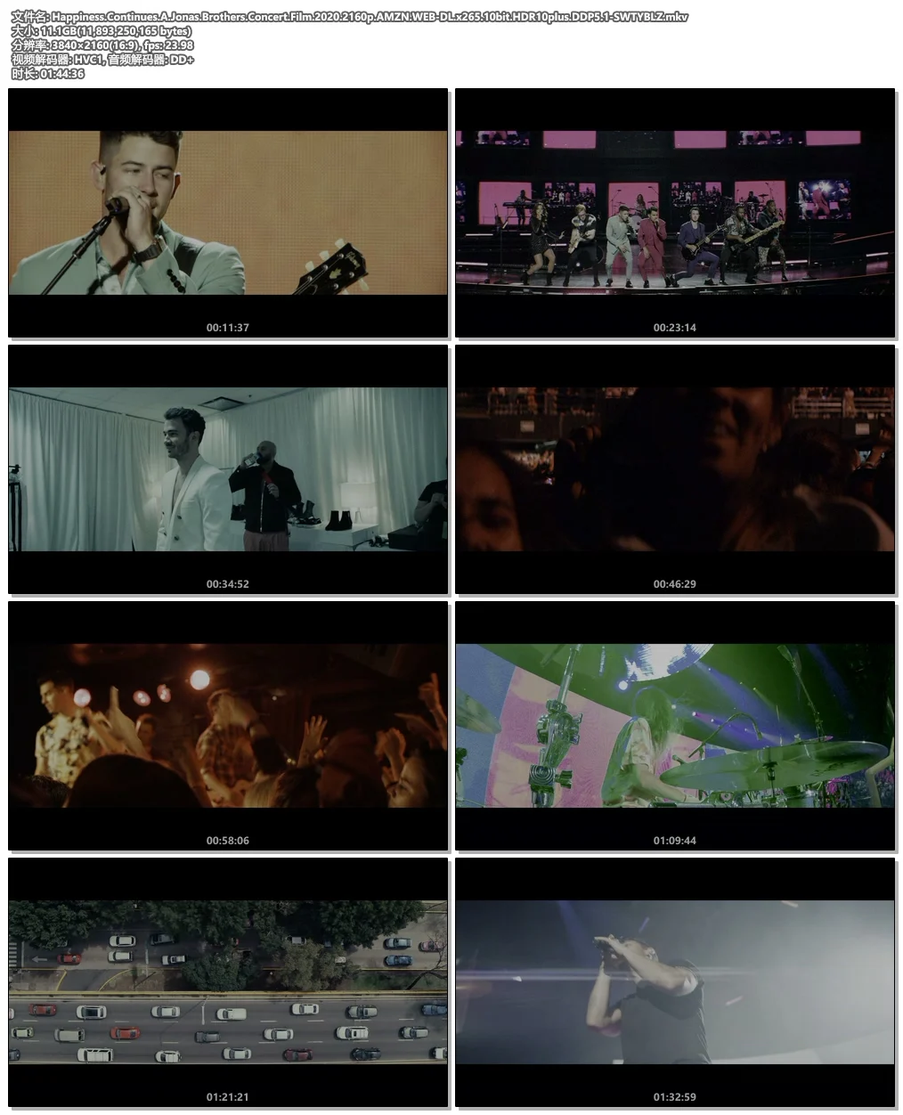 图片[4]-Happiness Continues A Jonas Brothers Concert Film 2020 2160p AMZN WEB-DL x265 10bit HDR10plus DDP5.1 4K《WEB-DL MKV 11G》-蓝光演唱会资源网