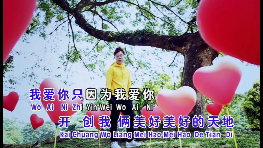 图片[2]-侯俊辉 鸳鸯一场 卡拉OK [DVDISO 3.11GB]-蓝光演唱会资源网