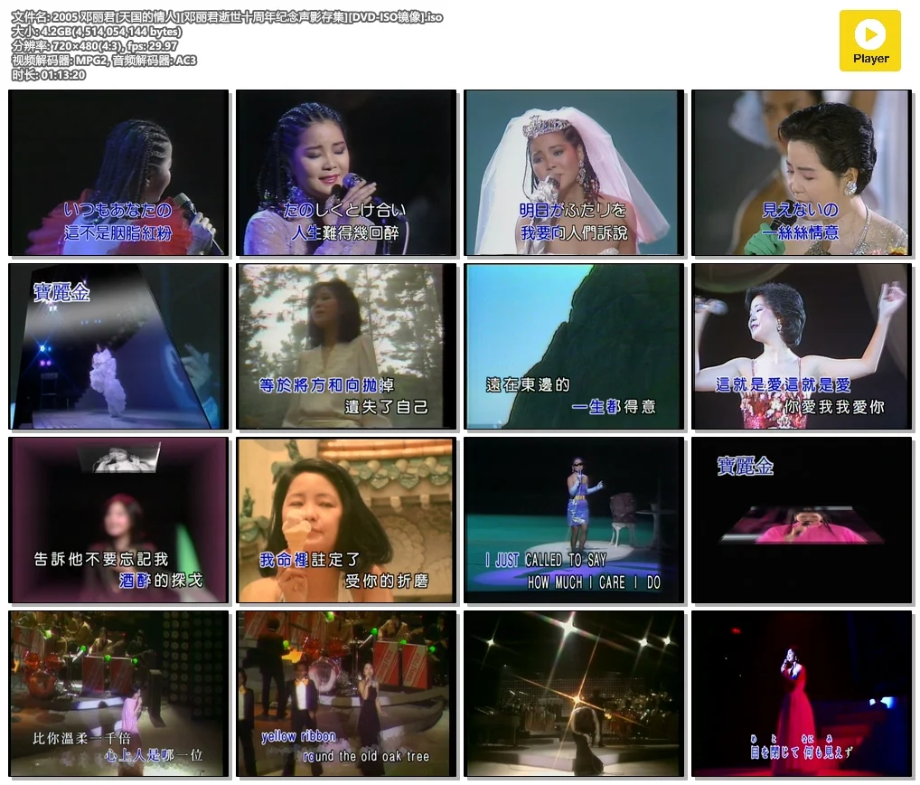 图片[3]-邓丽君 – 天国的情人 邓丽君逝世十周年纪念声影存集 2005 [DVD ISO 4.20G]-蓝光演唱会资源网