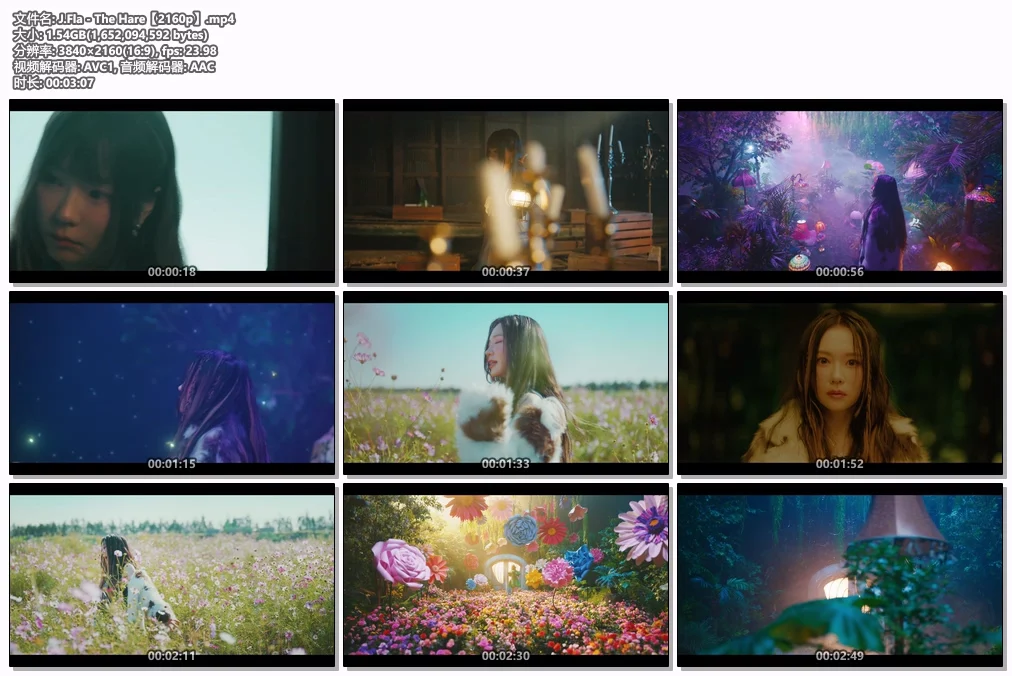图片[2]-J.Fla – The Hare 4K 2160P [Bugs MP4 1.54GB]-蓝光演唱会资源网