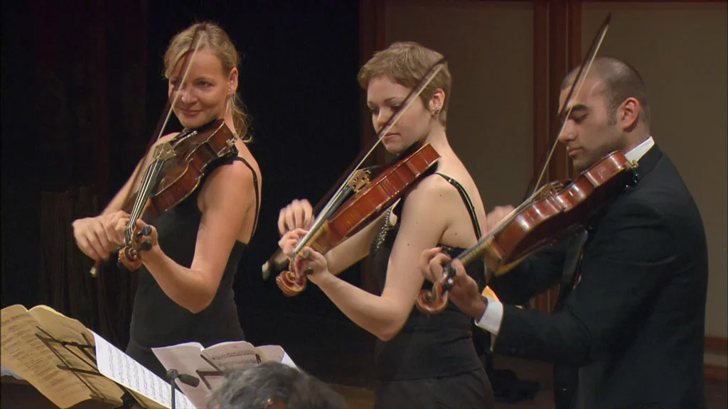 图片[3]-巴赫：勃兰登堡协奏曲 J.S. Bach – Brandenburg Concertos 1-6 2008 1080i Blu-ray AVC LPCM5.1 [BDMV 21.1GB]-蓝光演唱会资源网