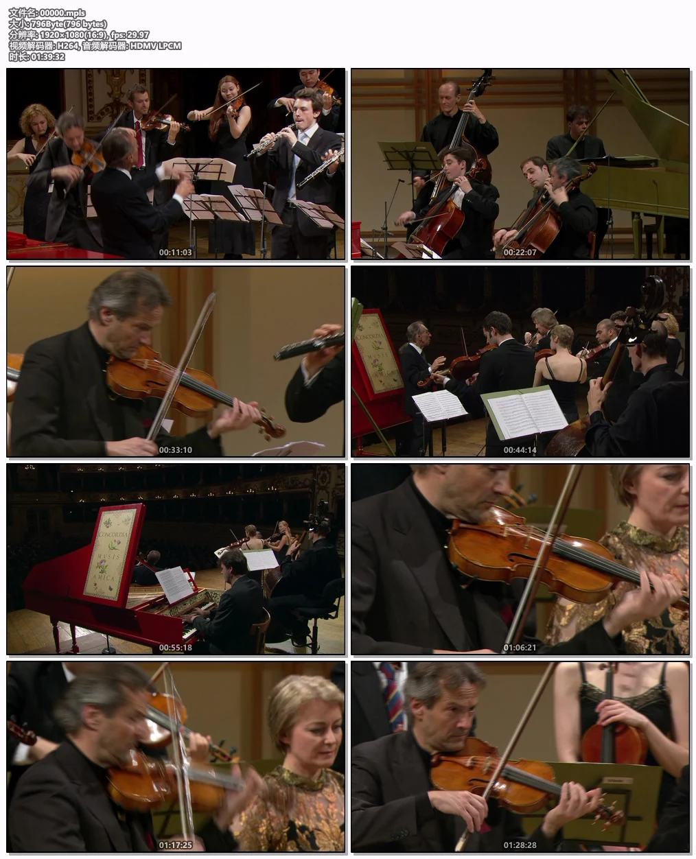 图片[6]-巴赫：勃兰登堡协奏曲 J.S. Bach – Brandenburg Concertos 1-6 2008 1080i Blu-ray AVC LPCM5.1 [BDMV 21.1GB]-蓝光演唱会资源网