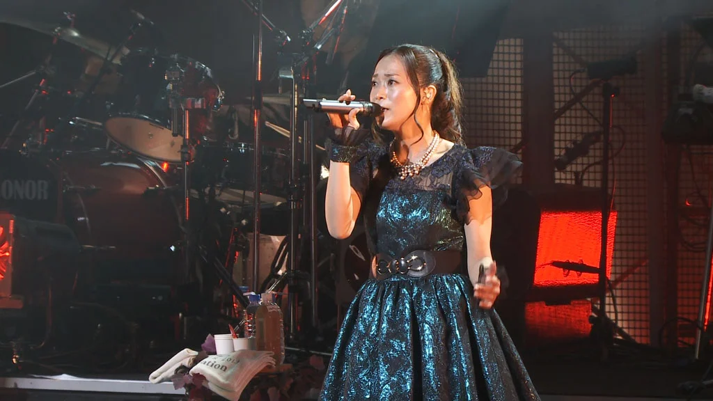图片[3]-Kalafina LIVE TOUR 2013 Consolation Special Final《BDrip MKV 9.75G》-蓝光演唱会资源网