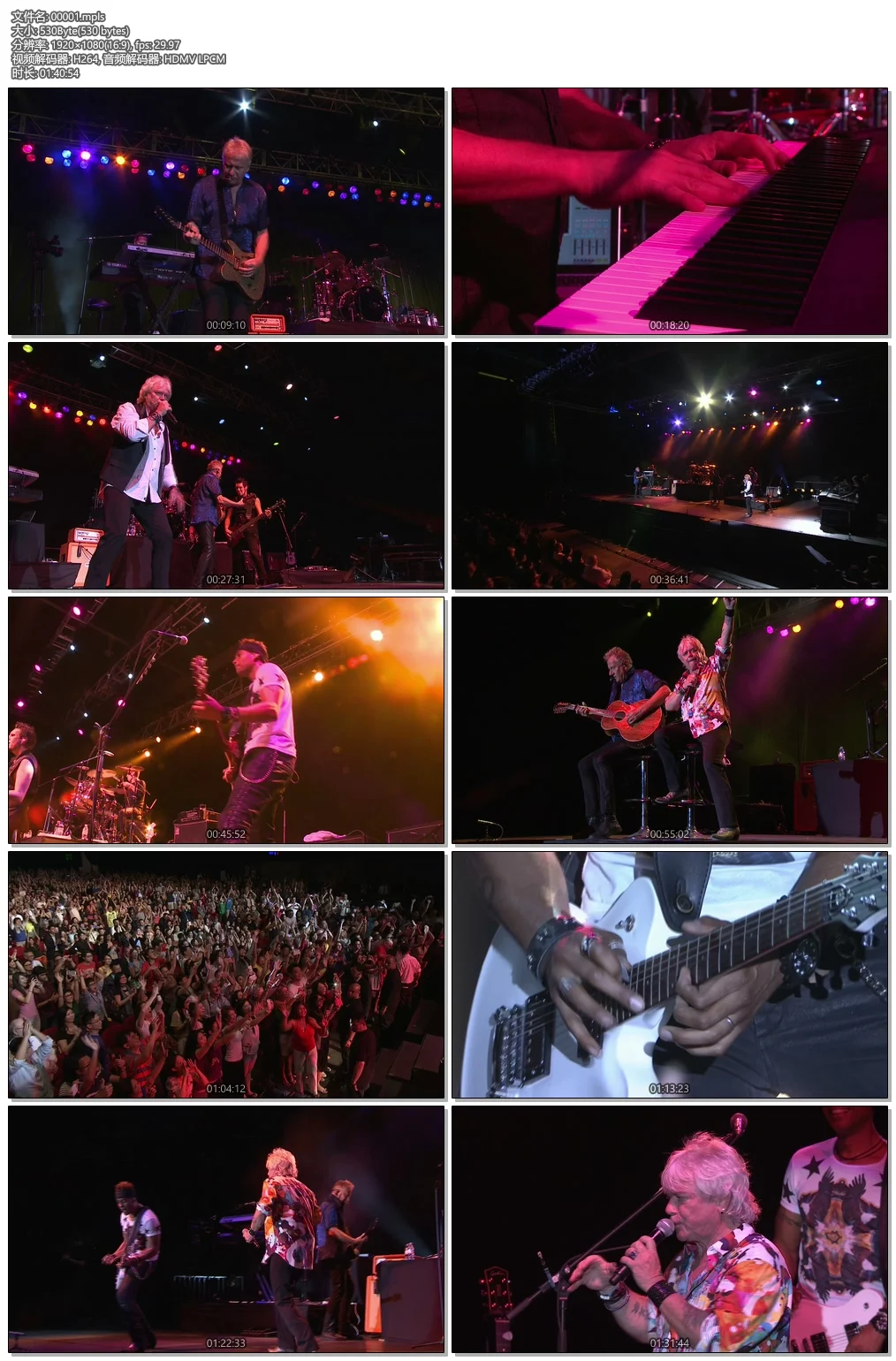 图片[6]-空气补给 2013 香港演唱会 Air Supply Live in Hong Kong 2013 [BDMV 32.5GB]-蓝光演唱会资源网