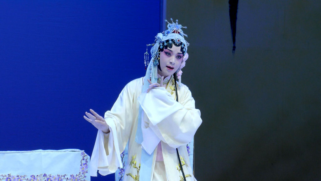 图片[2]-昆曲 牡丹亭 上本五代同堂 下本三地联动 Kunqu Opera The Peony Pavilion 2017《ISO 2BD 80.25G》-蓝光演唱会资源网