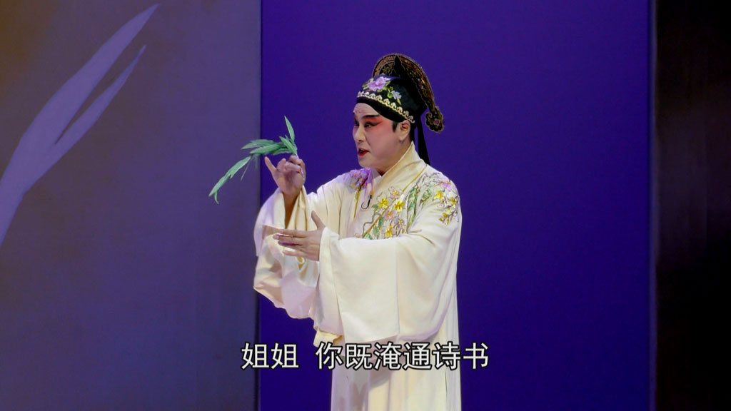 图片[3]-昆曲 牡丹亭 上本五代同堂 下本三地联动 Kunqu Opera The Peony Pavilion 2017《ISO 2BD 80.25G》-蓝光演唱会资源网