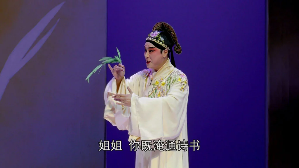 图片[3]-昆曲 牡丹亭 上本五代同堂 下本三地联动 Kunqu Opera The Peony Pavilion 2017《ISO 2BD 80.25G》-蓝光演唱会资源网