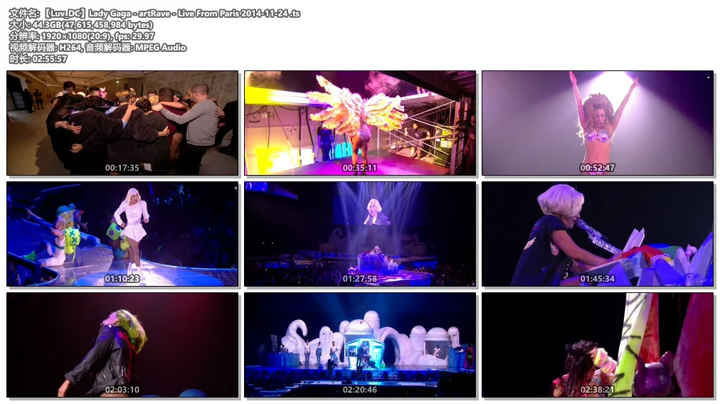 图片[4]-Lady Gaga – artRave – Live From Paris 2014《WEB-DL TS 44.3G》-蓝光演唱会资源网