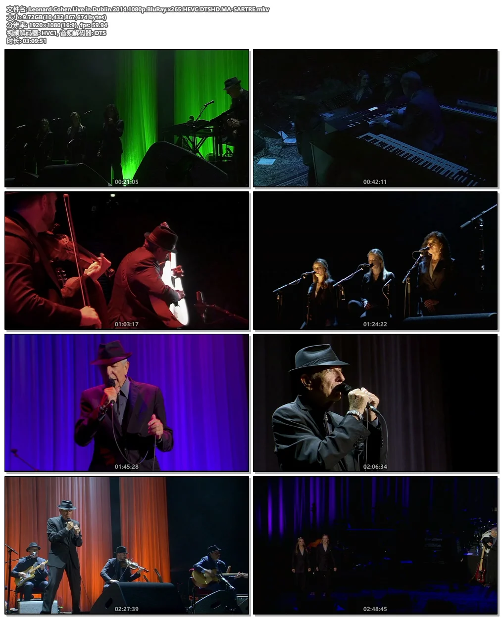 图片[4]-Leonard Cohen Live in Dublin 2014 1080p BluRay x265 HEVC DTSHD MA SARTRE《Remux MKV 10.2G》-蓝光演唱会资源网
