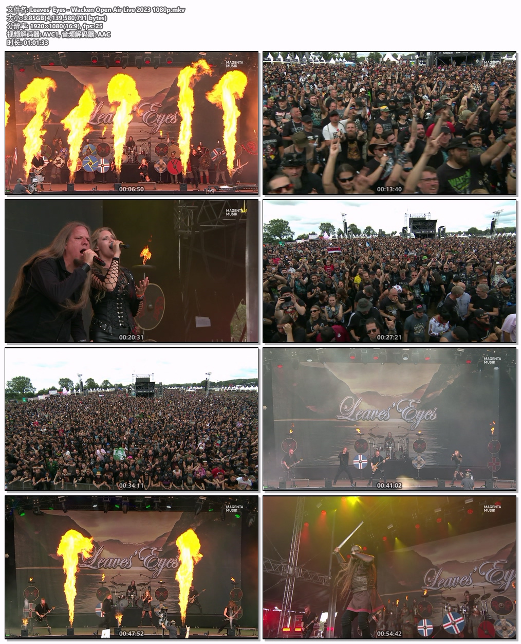 图片[4]-枯叶之眼 Leaves\’ Eyes – Wacken Open Air Live 2023 HD 1080P [WEB-DL MKV 3.85GB]-蓝光演唱会资源网