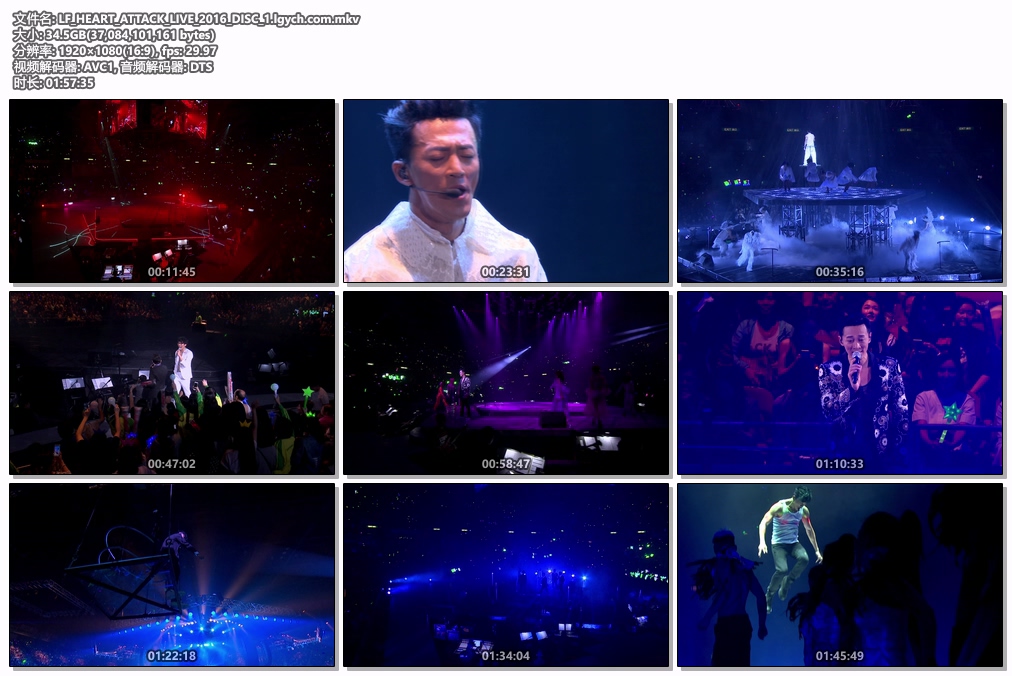 图片[2]-2014年林肯公园柏林演唱会 4K视频 HEVC编码 Linkin Park Berlin Concert 2014 2160p《4K TS HDTV 21.3G》-蓝光演唱会资源网