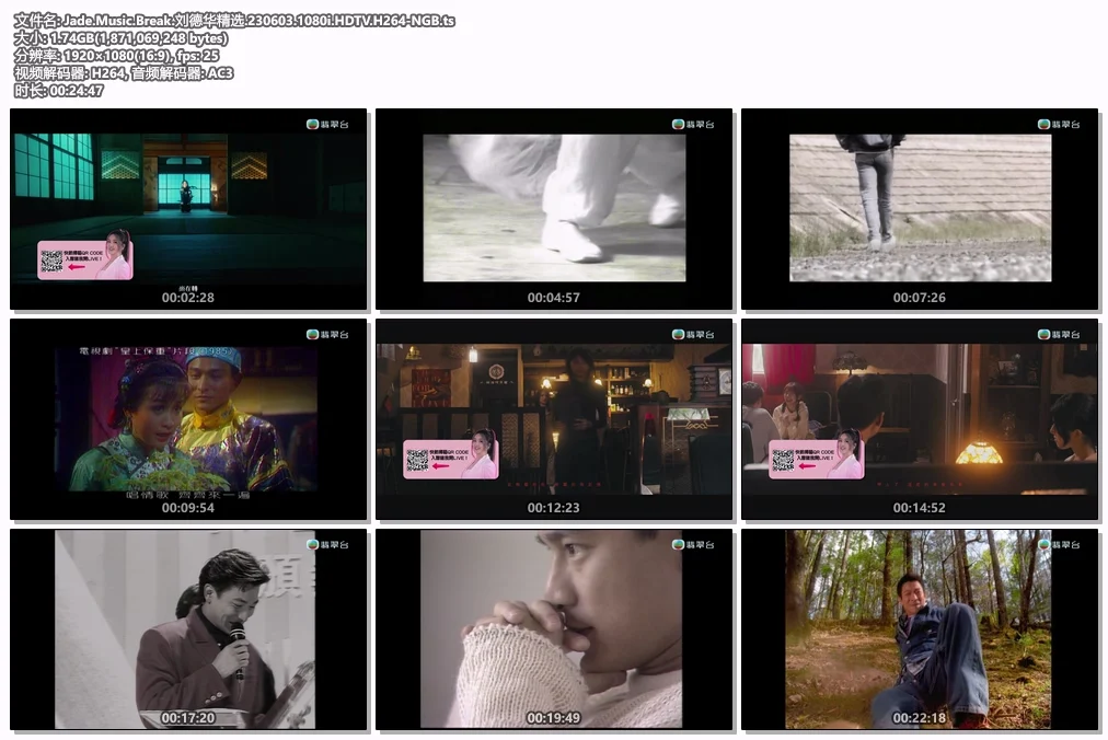 图片[3]-Jade Music Break 刘德华 精选 2023 1080i [HDTV TS 1.74GB]-蓝光演唱会资源网