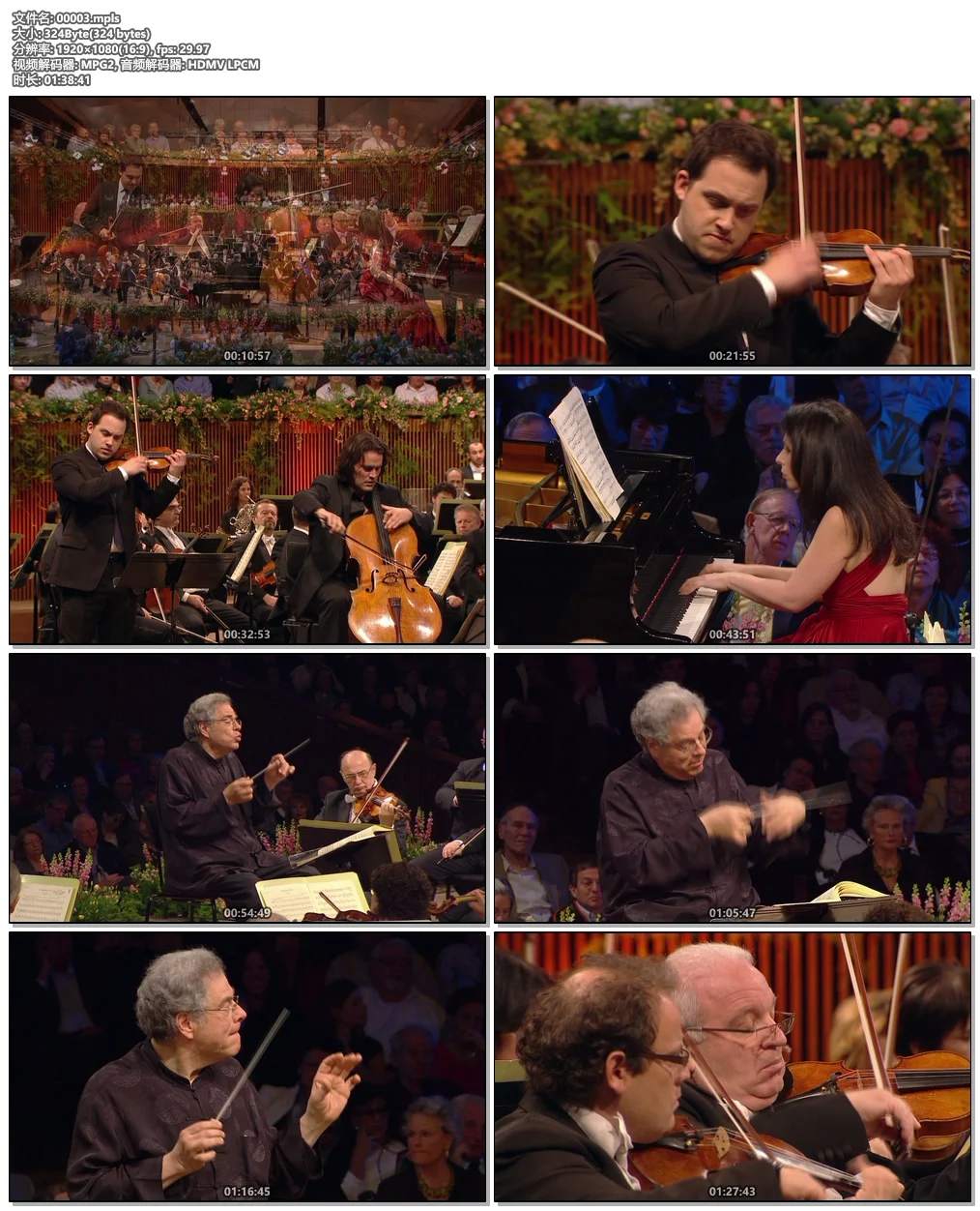 图片[6]-贝多芬第六交响曲三重奏 Israel Philharmonic Orchestra (Itzhak Perlman) – Beethoven 2012《BDMV 19.7G》-蓝光演唱会资源网