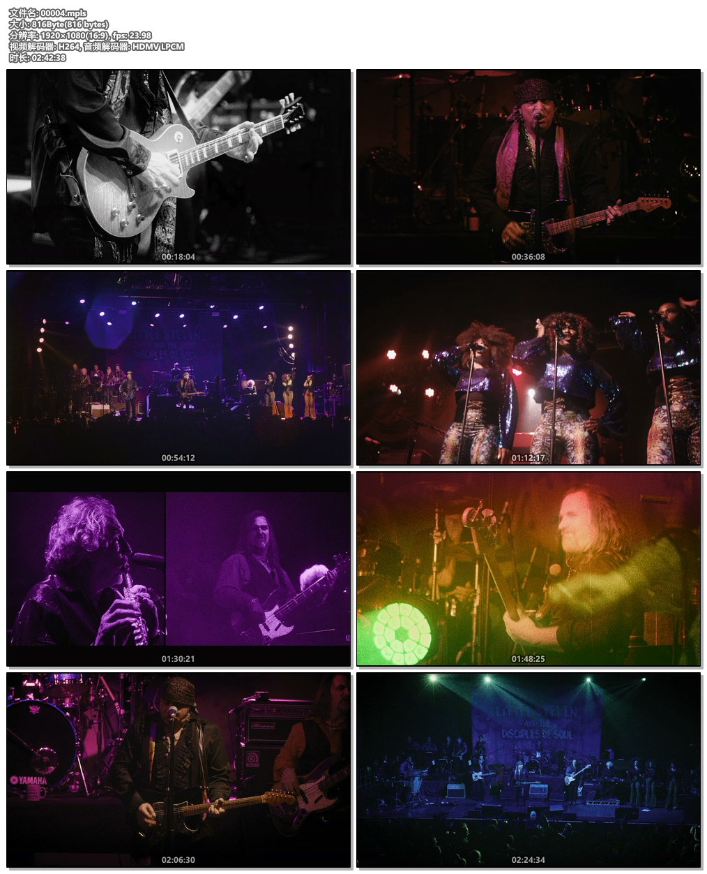 图片[3]-Little Steven and The Disciples of Soul – Soulfire live! 2xBD 2019《BDMV 2BD 64.4G》-蓝光演唱会资源网
