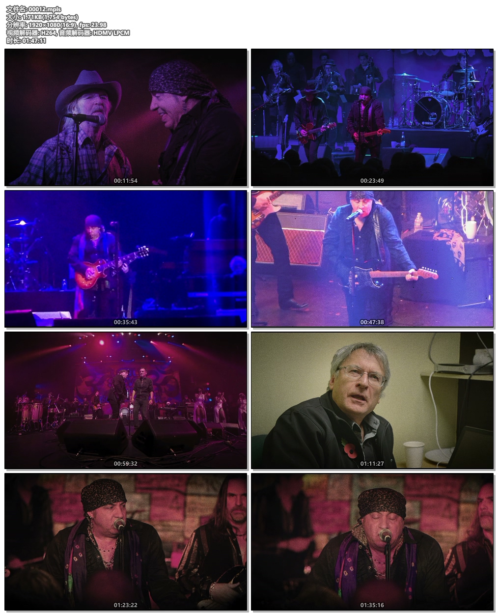图片[6]-Little Steven and The Disciples of Soul – Soulfire live! 2xBD 2019《BDMV 2BD 64.4G》-蓝光演唱会资源网